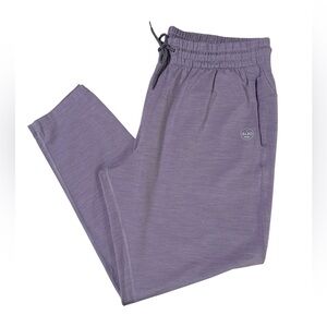 Allbirds Purple Merino Wool Blend 21.30 Natural Performance Jogger (Size XL)